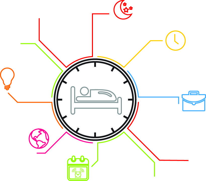 Circadian Rhythm Cycle Chart