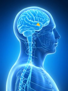 Shift Work, chronobiology, circadian rhythm