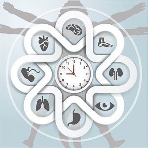 Chronobiology, Circadian Rhythms, Sleep