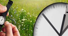 Sommerzeit: Wie beeinflusst der Uhrzeitwechsel unseren Biorhythmus?