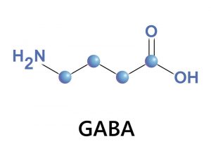 Chronobiology, Sleep, Memory, gaba