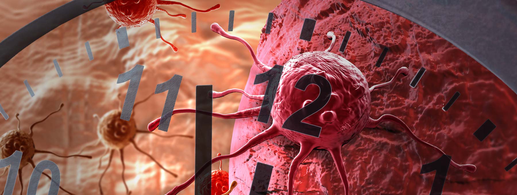circadian rhythm research paper How does circadian rhythm research contribute to human health understanding what makes biological clocks tick may lead to treatments for sleep disorders. circadian rhythm research paper How does circadian rhythm research contribute to human health understanding what makes biological clocks tick may lead to treatments for sleep disorders.