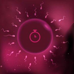 The Seasonal Rhythm of Male Fertility, sperm health