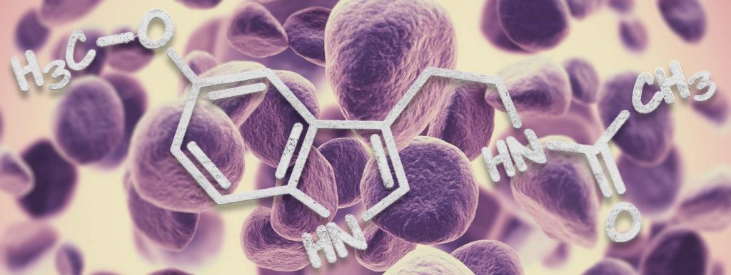 Wunderhormon Melatonin verbessert die Ergebnisse bei Krebspatienten