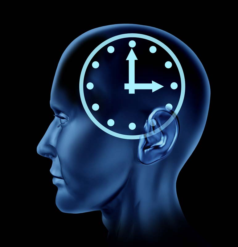 Часы brain. Мозг и часы. Идеальный будильник. Хронобиология фото.