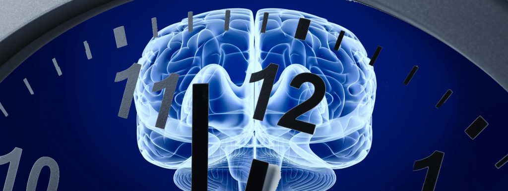 Das Gedächtnismolekül: Verbesserung des Langzeitgedächtnisses mit IGF2