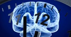 Das Gedächtnismolekül: Verbesserung des Langzeitgedächtnisses mit IGF2