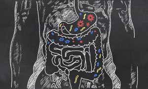 Another Link Found Between Gut Bacteria and Mental Health