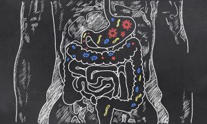 Another Link Found Between Gut Bacteria and Mental Health