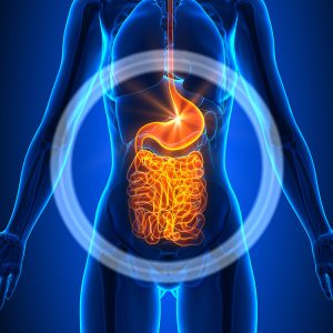 Stomach Bacteria and PTSD Linked in New Study