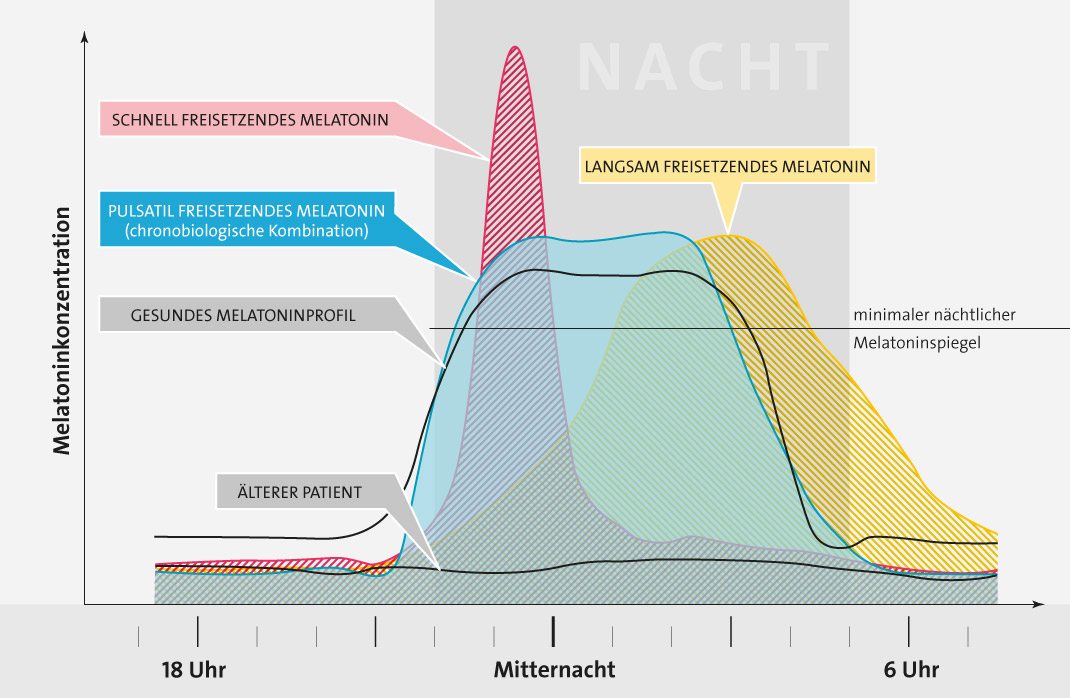 Melatonin & Chronobiologie 3