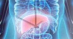 New Findings Show the Liver has a Clear Rhythm