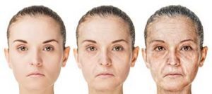 Signs of Aging Halted with Genetic Reprograming