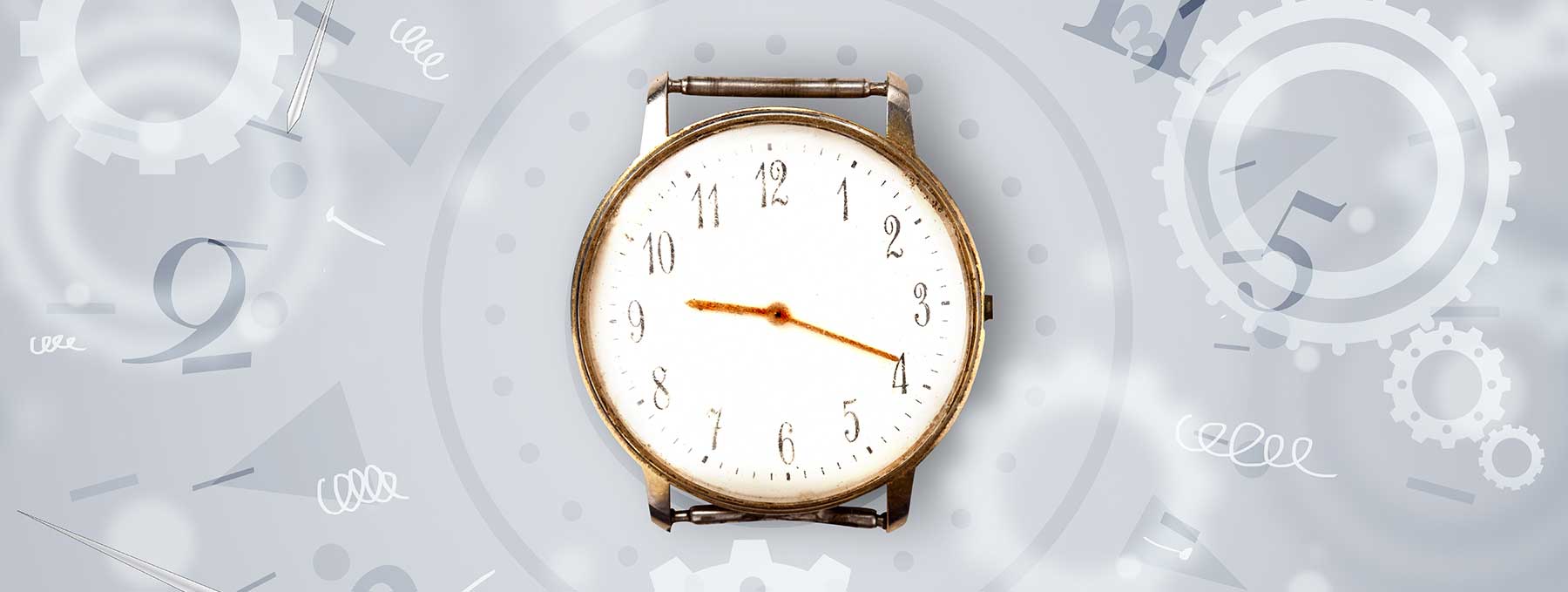 There are Multiple Clocks in our Body, but How do They Communicate?