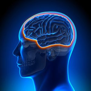 Melatonin and Neurological Diseases Linked Through Effect on Blood-Brain Barrier 1