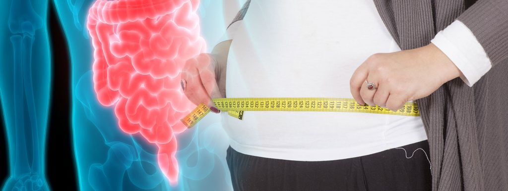 Darmbakterien und Gewichtszunahme: Wie Darmbakterien die „Herrschaft“ über den circadianen Rhythmus Ihres Darms an sich reißen