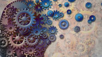 Discovered: New Link Between Circadian Rhythm and Aggression