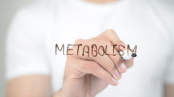 New Insights Into the Circadian Rhythm and Metabolism