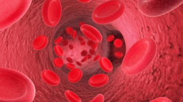 Researchers Discover How Lack of Sleep Harms Circulation