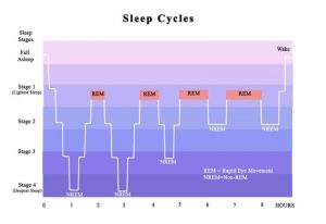 Why You Should Stop Hitting the Snooze Button 1