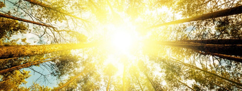 Daily Exposure to Bright Light Protects Heart Health