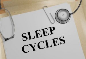 Specialized Immune Cells Maintain Brain During Sleep 1