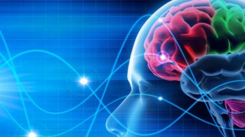 Specialized Immune Cells Maintain Brain During Sleep