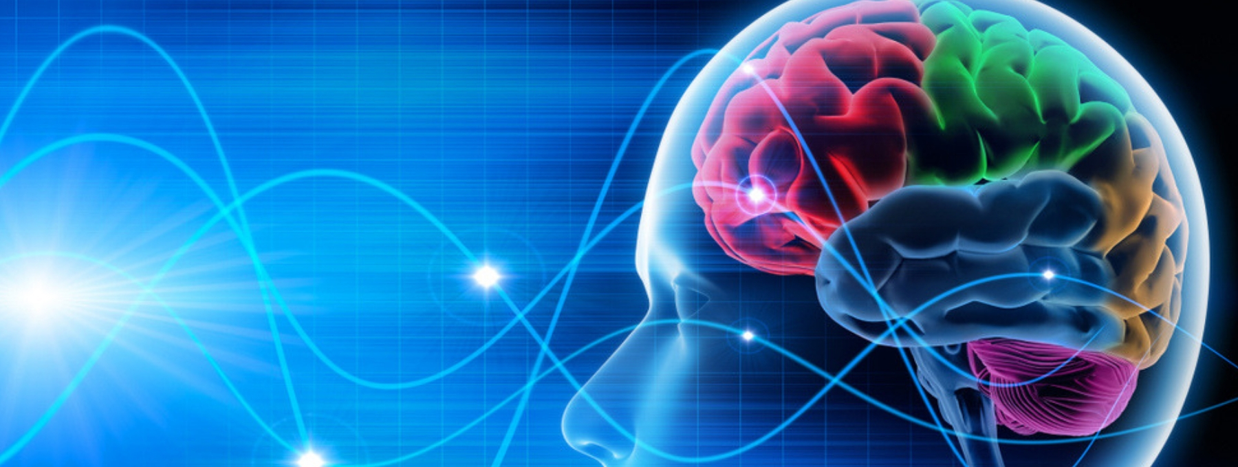 Specialized Immune Cells Maintain Brain During Sleep