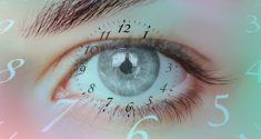 Chronobiology and Sight: How the Eyes Synchronize Our Internal Clocks