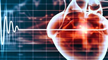 The Circadian Rhythm and Cardiovascular Disease