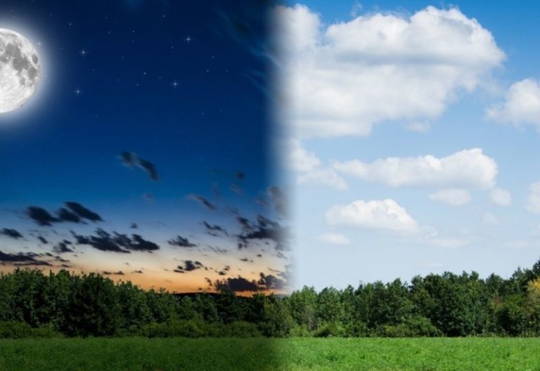 Top 10 Circadian Rhythm Facts – Chronobiology.com