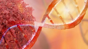 Cancer and the Circadian Clock: Maintaining Balance for Cellular Health