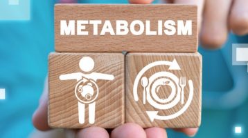 Blue Light at Night Hinders Fat Oxidation and Energy Metabolism