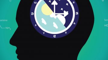 Immune Response to Vaccination: The Role of the Circadian Rhythm