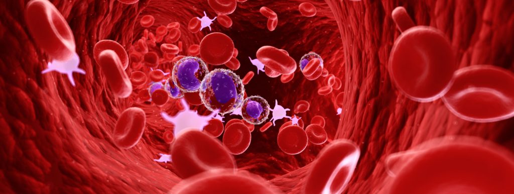 Potassium is Crucial For the Circadian Rhythm in Red Blood Cells