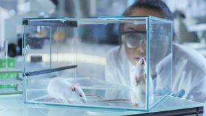 Medical,Research,Scientists,Examines,Laboratory,Mice,Kept,In,A,Glass
