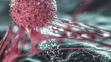 がん治療に最適な時間帯はいつですか？