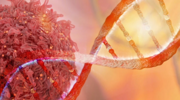 How Cancer Disrupts the Brain and Triggers Anxiety and Insomnia