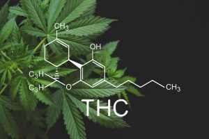 thc thc