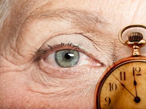 AdobeStock 120556260 AdobeStock 120556260