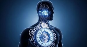 AdobeStock 2001241368 AdobeStock 2001241368