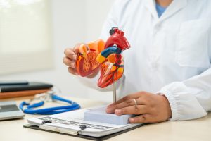 AdobeStock 956043631 AdobeStock 956043631