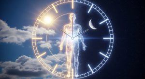 AdobeStock 2051820351 AdobeStock 2051820351