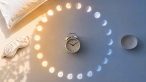 AdobeStock 2176424285 AdobeStock 2176424285