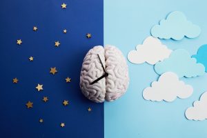 AdobeStock 477341514 AdobeStock 477341514