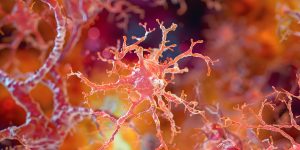AdobeStock 870460248 AdobeStock 870460248
